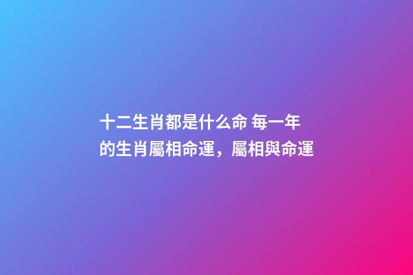 十二生肖都是什么命 每一年的生肖屬相命運，屬相與命運